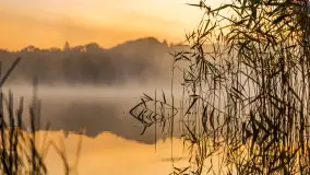 Wrześniowy i mglisty wschód słońca nad jeziorem Mój - zdjęcie 24