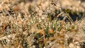 Wrześniowy i mglisty wschód słońca nad jeziorem Mój - zdjęcie 61