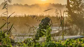 Wrześniowy i mglisty wschód słońca nad jeziorem Mój - zdjęcie 64