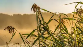 Wrześniowy i mglisty wschód słońca nad jeziorem Mój - zdjęcie 58