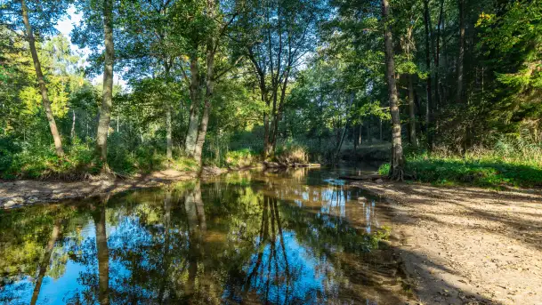 Piękno Sapiny w okolicach Pozezdrza, wrzesień 2023 r.