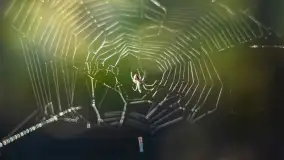 Piękno Sapiny w okolicach Pozezdrza, wrzesień 2023 r. - zdjęcie 29