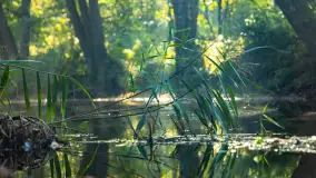 Piękno Sapiny w okolicach Pozezdrza, wrzesień 2023 r. - zdjęcie 6