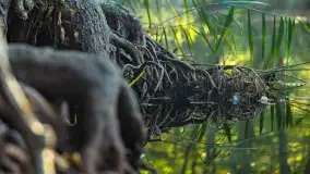 Piękno Sapiny w okolicach Pozezdrza, wrzesień 2023 r. - zdjęcie 31