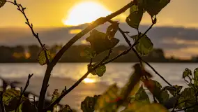 Zachód słońca nad jeziorem Mój, październik 2023 r. - zdjęcie 47