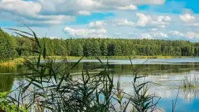 Sezon 2023 na zdjęciach... z telefonu Artura - zdjęcie 117