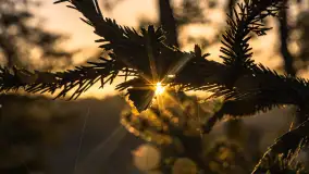 Wschód słońca nad jeziorem Iławki - zdjęcie 2