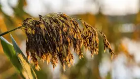 Wschód słońca nad jeziorem Iławki - zdjęcie 11