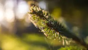 Wschód słońca nad jeziorem Iławki - zdjęcie 36