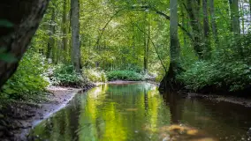 Miłośnicy Mazur - magia regionu na zdjęciach Marty Sotnik - zdjęcie 24