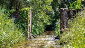Miłośnicy Mazur - magia regionu na zdjęciach Marty Sotnik - zdjęcie 15