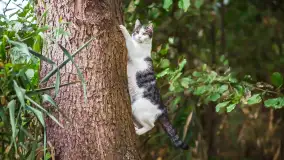 Miłośnicy Mazur - magia regionu na zdjęciach Marty Sotnik - zdjęcie 20