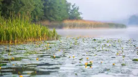Miłośnicy Mazur - magia regionu na zdjęciach Marty Sotnik - zdjęcie 12