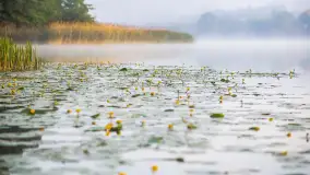 Miłośnicy Mazur - magia regionu na zdjęciach Marty Sotnik - zdjęcie 17