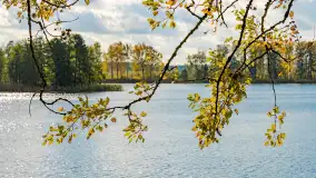 Jesień nad jeziorem Iławki, końcówka października 2023 r. - zdjęcie 24