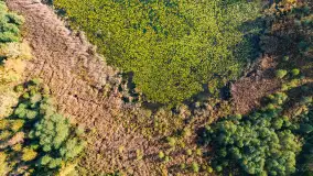 Jesień nad jeziorem Iławki, końcówka października 2023 r. - zdjęcie 14