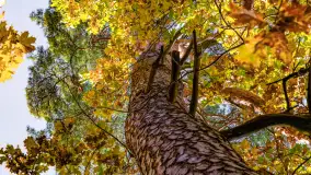 Złota mazurska jesień w Mrągowie nad jeziorem Juno - zdjęcie 12