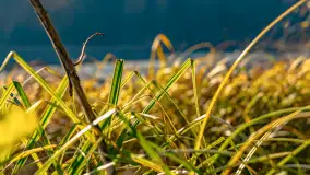 Złota mazurska jesień w Mrągowie nad jeziorem Juno - zdjęcie 32