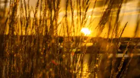 Zachód słońca nad jeziorem Bełdany, Mazurski Raj - zdjęcie 22