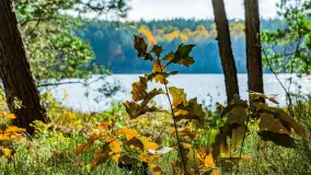 Magia mazurskiej jesieni nad jeziorem Wesołek, listopad 2023 r. - zdjęcie 9