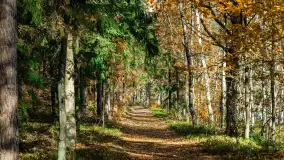 Magia mazurskiej jesieni nad jeziorem Wesołek, listopad 2023 r. - zdjęcie 23