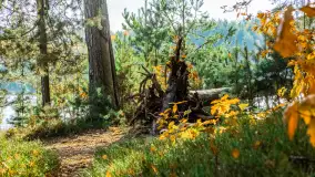 Magia mazurskiej jesieni nad jeziorem Wesołek, listopad 2023 r. - zdjęcie 19