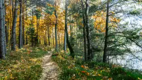 Magia mazurskiej jesieni nad jeziorem Wesołek, listopad 2023 r. - zdjęcie 3