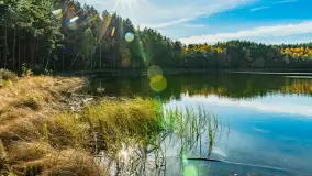 Magia mazurskiej jesieni nad jeziorem Wesołek, listopad 2023 r. - zdjęcie 18