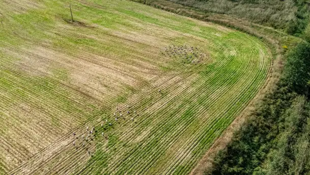 Żurawi sejmik na początku września przy jeziorze Tajty - zdjęcie 10