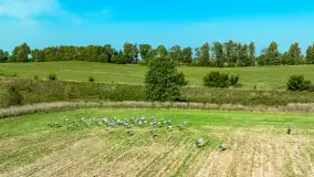 Żurawi sejmik na początku września przy jeziorze Tajty - zdjęcie 17