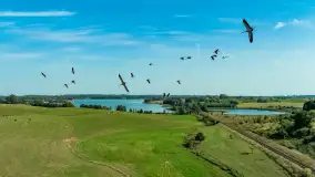 Żurawi sejmik na początku września przy jeziorze Tajty - zdjęcie 1