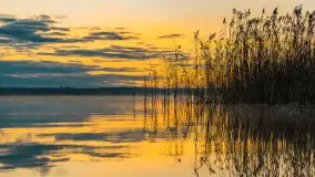 Wschód słońca nad jeziorem Dobskim, listopad 2023 r. - zdjęcie 19