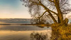 Wschód słońca nad jeziorem Dobskim, listopad 2023 r. - zdjęcie 24