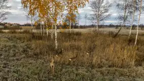 Wschód słońca nad jeziorem Dobskim, listopad 2023 r. - zdjęcie 59