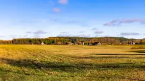 Fotograficzne podsumowanie jesieni 2023 cz. I - zdjęcie 36