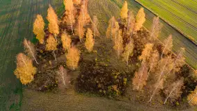 Fotograficzne podsumowanie jesieni 2023 cz. I - zdjęcie 39