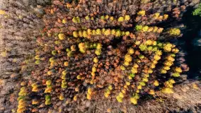 Fotograficzne podsumowanie jesieni 2023 cz. I - zdjęcie 55