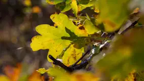 Fotograficzne podsumowanie jesieni 2023 cz. II - zdjęcie 54