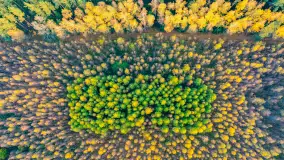 Fotograficzne podsumowanie jesieni 2023 cz. II - zdjęcie 37