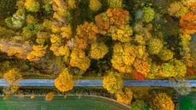 Fotograficzne podsumowanie jesieni 2023 cz. II - zdjęcie 52