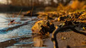 Zachód nad jeziorem Niegocin, listopad 2023 r. - zdjęcie 8