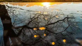 Zachód nad jeziorem Niegocin, listopad 2023 r. - zdjęcie 9