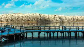 Zima w porcie Łabędzi Ostrów w Pięknej Górze, listopada 2023 r. - zdjęcie 37