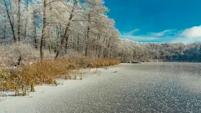 Zima w porcie Łabędzi Ostrów w Pięknej Górze, listopada 2023 r. - zdjęcie 20