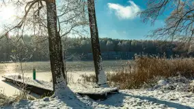 Zima w porcie Łabędzi Ostrów w Pięknej Górze, listopada 2023 r. - zdjęcie 53