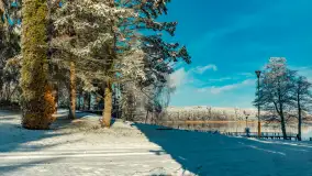 Zima w porcie Łabędzi Ostrów w Pięknej Górze, listopada 2023 r. - zdjęcie 34