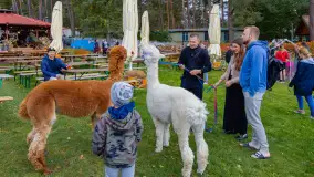Fotorelacja ze Święta Ziemniaka w Mazurskim raju, październik 2023 r. - zdjęcie 13