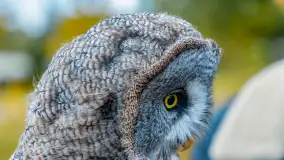 Fotorelacja ze Święta Ziemniaka w Mazurskim raju, październik 2023 r. - zdjęcie 40