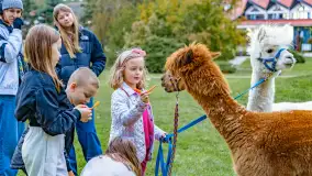 Fotorelacja ze Święta Ziemniaka w Mazurskim raju, październik 2023 r. - zdjęcie 50