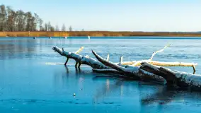 Most Sztynorcki, jeziora Dargin i Kirsajty w zimowej odsłonie, listopad 2023 r. - zdjęcie 6